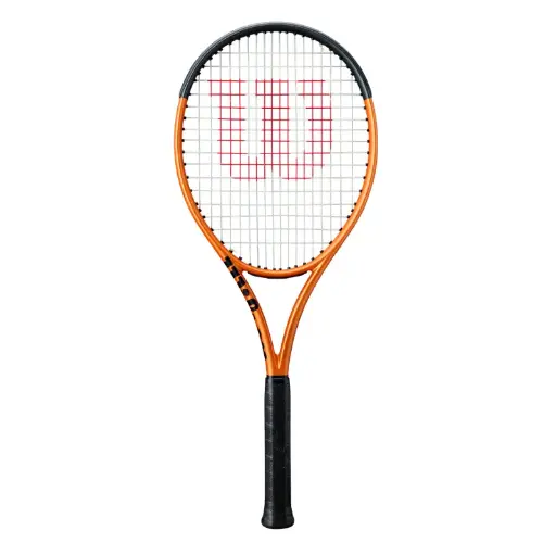 [WILWR199510] BURN 100S V6.0