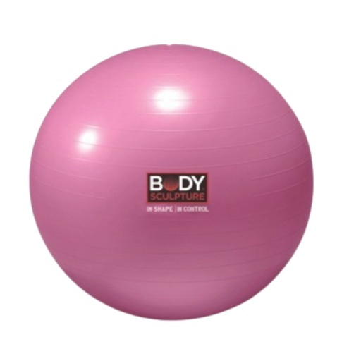 [SOBB-001TPK-22N] ANTI-BURST  GYM BALL 55cm